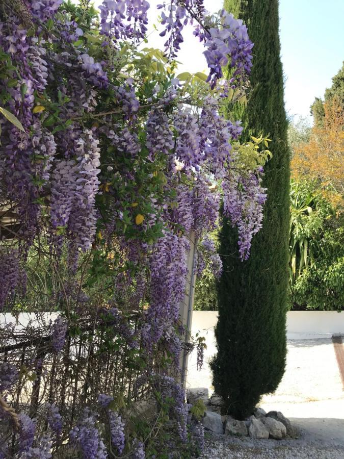 Bastide Nomade - Guest House Saint-Paul-de-Vence Exteriér fotografie